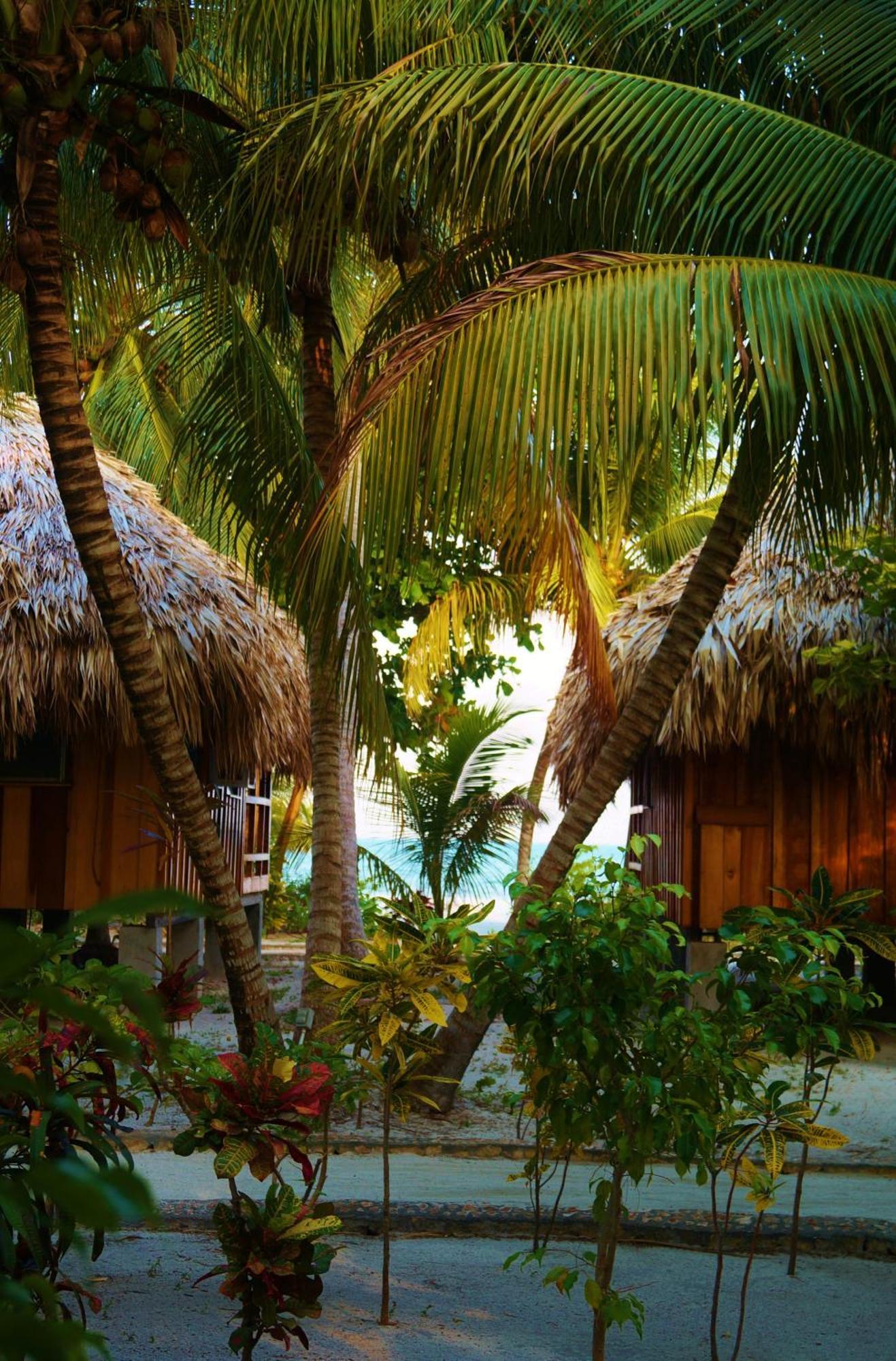St. George'S Caye Resort Белиз Сити Стая снимка